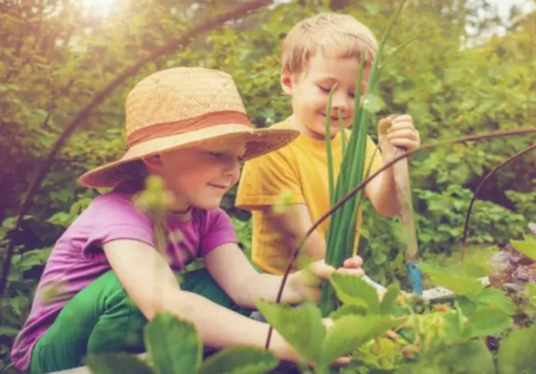If you want to change the world, teach children to grow their own food