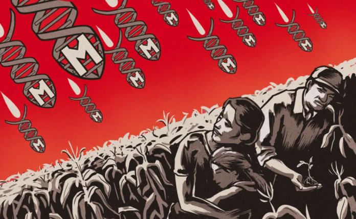 Mexico Battles U.S. Government and ‘Mr. Monsanto’ to Protect Food Sovereignty