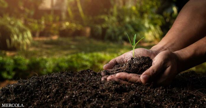 Regenerative Agriculture — The Next Big Thing