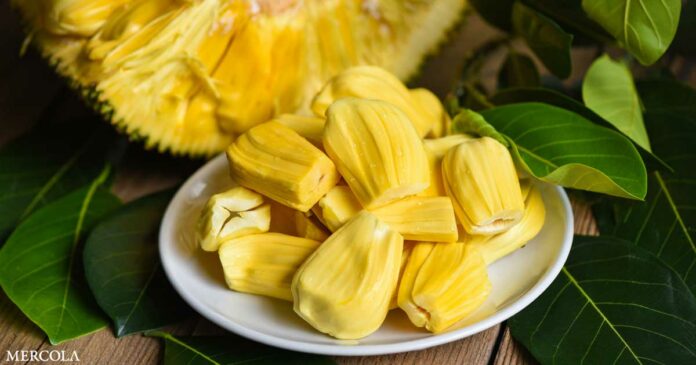 Jackfruit Packs a Walloping Amount of Nutrition