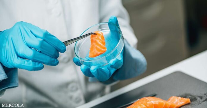 Scientists Create Lab-Grown Frankenfish