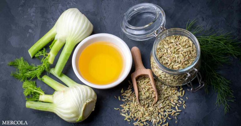 The Many Health Benefits of Fennel