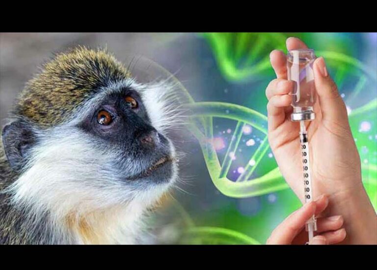 Green Monkey DNA Found in COVID-19 Shots