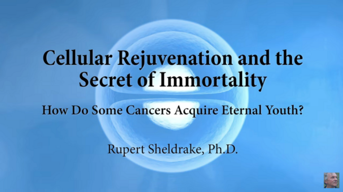 Cellular Immortality - Rupert Sheldrake