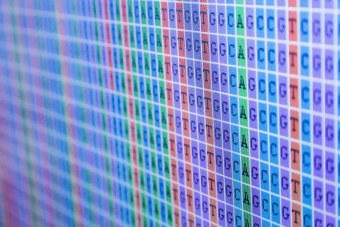 The human genome – perception directly controls gene activity