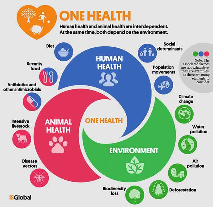 one health