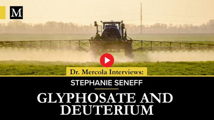 glyphosate and deuterium interview with stephanie seneff