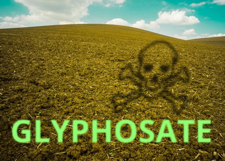 Even Low Levels of Glyphosate Alter Your Gut Microbiota