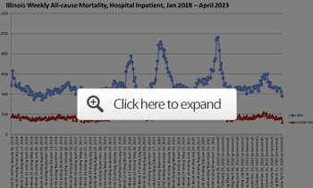 Illinois Weekly All-Cause Mortality