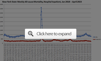 New York State Weekly All-Cause Mortality