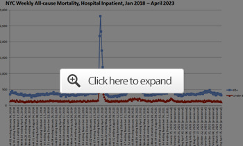 NYC Weekly All-Cause Mortality