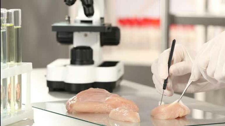 Lab-Grown Chicken’s Been Approved. But Can You Buy It?