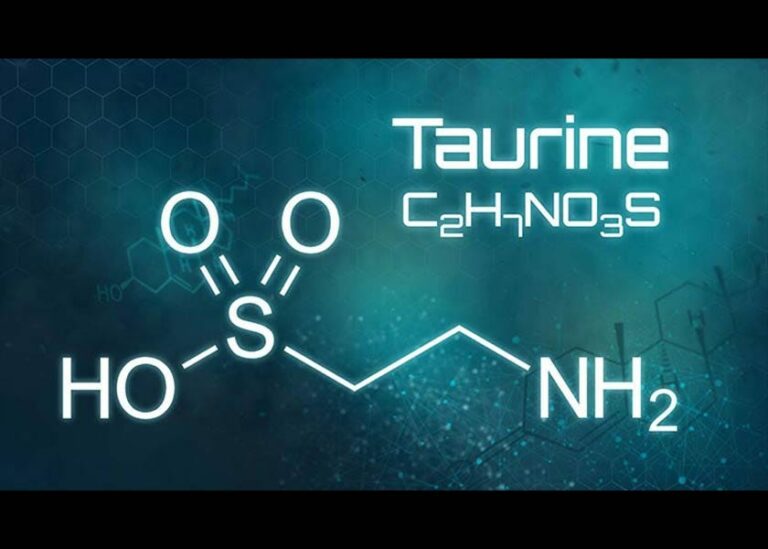 Taurine May Be Key for Longevity and Healthier Lifespan
