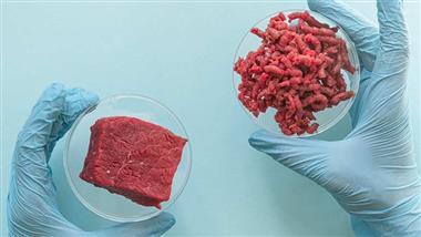 lab grown meat