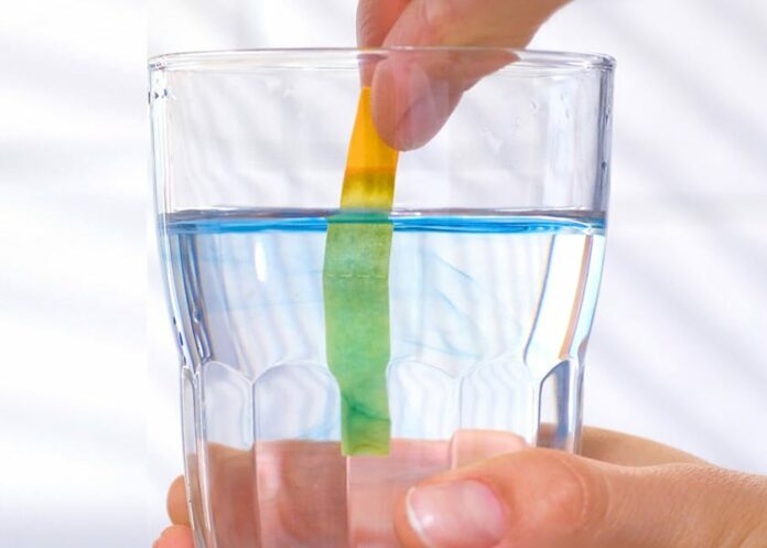 Alkaline Water or Hydrogen Water — Which One Is Better?