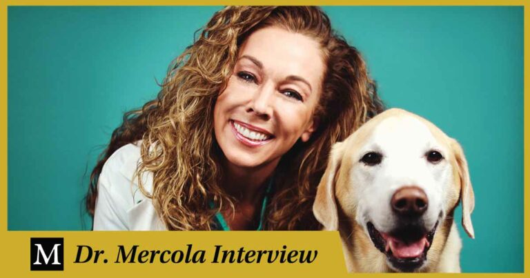 Dr. Mercola Interviews Dr. Karen Becker
