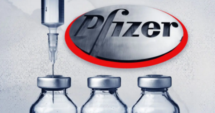 Brook Jackson Interview – Pfizer Trial reveals Big Pharma (includes FDA/CDC) seen as too big to fail