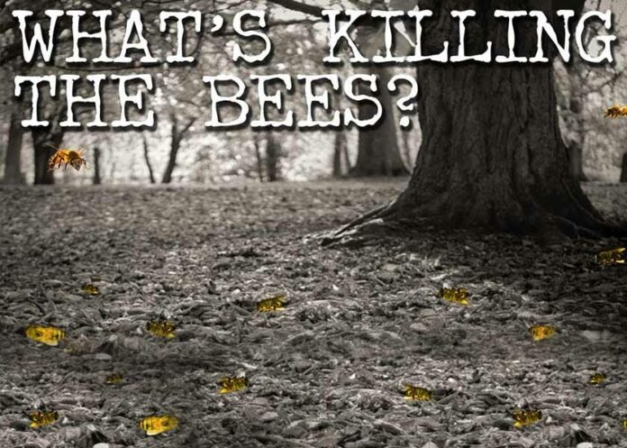 Save the Bees