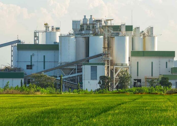 The Stupidity of Ethanol as Green Energy