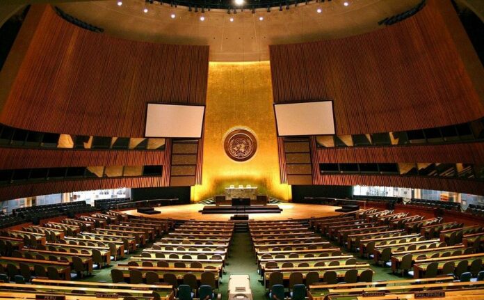 The UN’s Digital First Responders – or The UN’s Virtual Brownshirts?