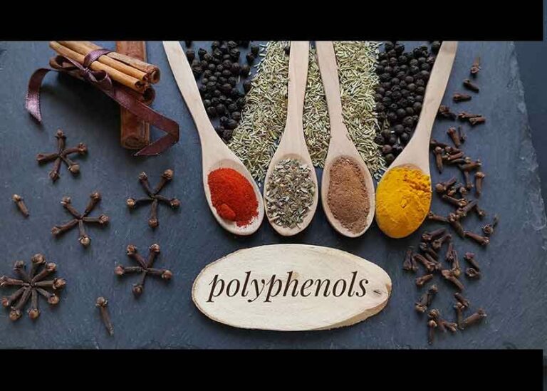 What Are Polyphenols and Why Do We Need Them?