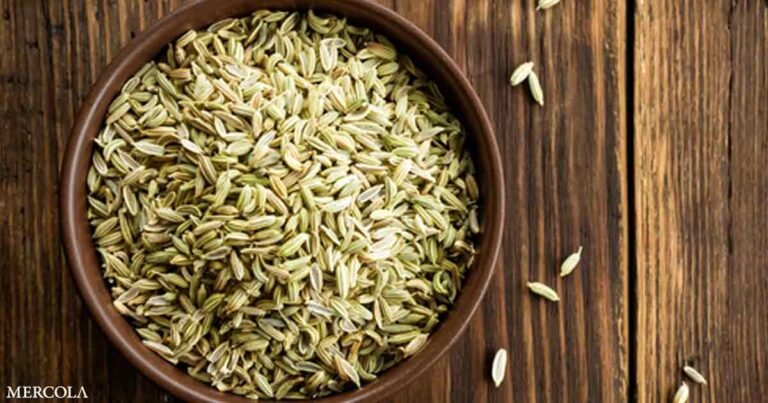 The Digestive Power of Fennel Seeds