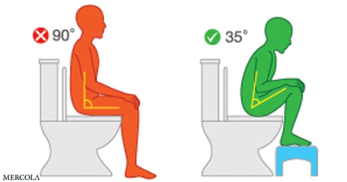 The Perfect Position to Poop