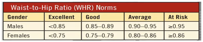 waist to ratio norms