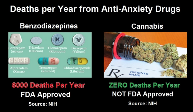 Cannabis: the ‘gateway drug’ leading AWAY from prescription drug addiction