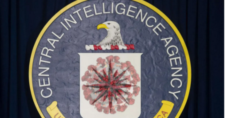 Destiny Rezendes Interview – A 2019 CIA Epidemic Plan outlines near exactly what happened in 2020