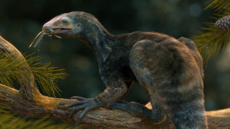 'Edward Scissorhands' creature that lived 230 million years ago discovered in Brazil