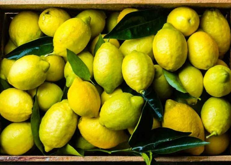 More Than 13 Ways Lemons Benefit Your Health and Home