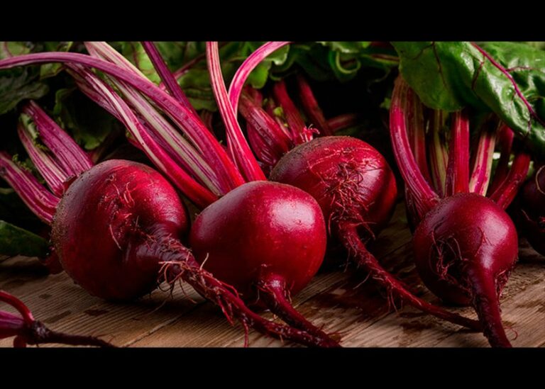 Research suggests beets may be helpful against Alzheimer's disease, thanks to compounds that help decrease neuron oxidation by as much as 90%.