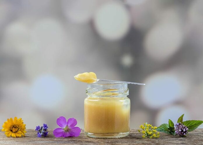 Royal Jelly Shows Promise in Assisting Stem Cell Research