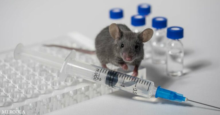 10 Mice Used to Test the Newest Pfizer COVID Jab