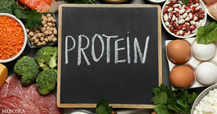 Animal and Plant Protein Sources Are Not Equal