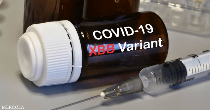 New XBB COVID Combination Vax to Include Flu and RSV