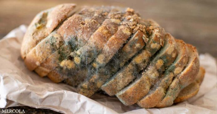 Here's Why You Don't Ever Want to Eat Moldy Bread