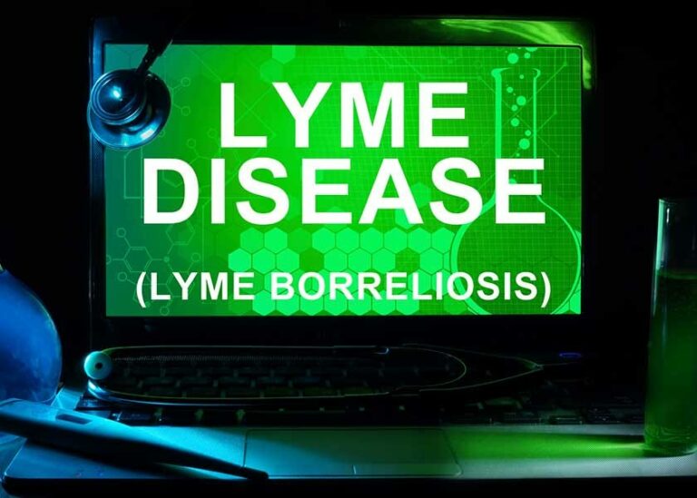 Lumbrokinase for Lyme?