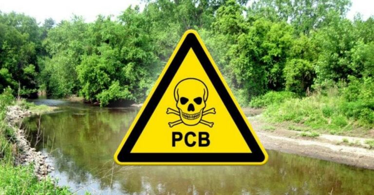 Plagued with death and disease, a community takes on chemical giants over PCB toxins
