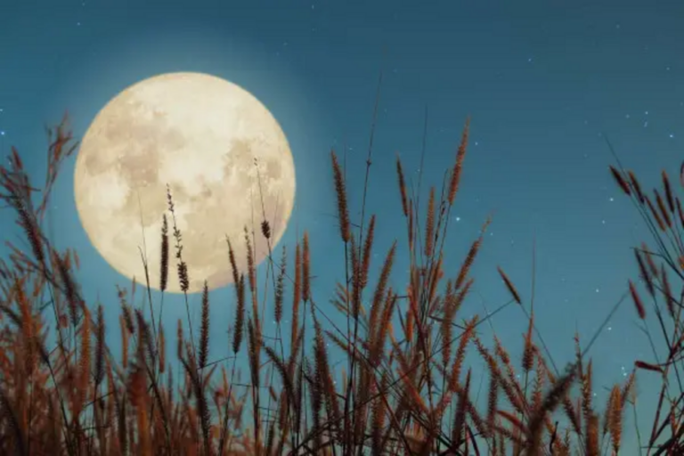 The harvest full moon astrology: what to expect on 29th September