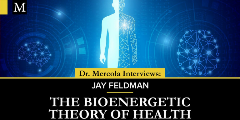Intro to the Bioenergetic Theory of Health - Discussion Between Jay Feldman & Dr. Mercola