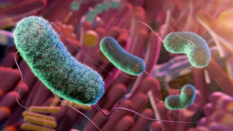 Scientists unveil 'atlas' of the gut microbiome
