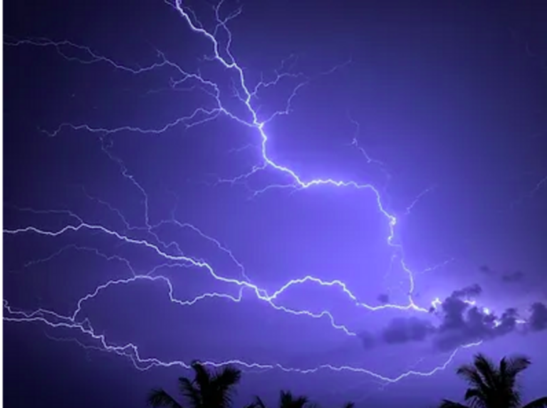 Struck by lightning! Near-death experiences increase coincidences, with Elizabeth Krohn