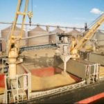 Ukrainian grain blackmail is about the profits of multinational corporations