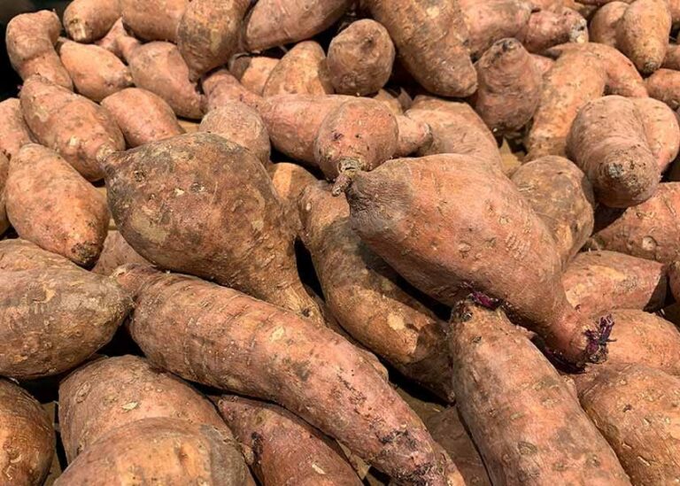 What Are the Health Benefits of Yams?