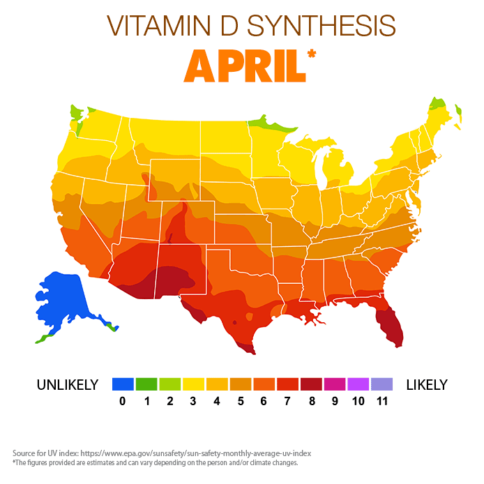 Vitamin D synthesis Apr