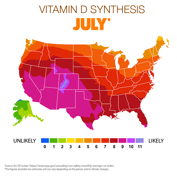 Vitamin D synthesis Jul