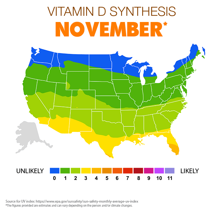 Vitamin D synthesis Nov