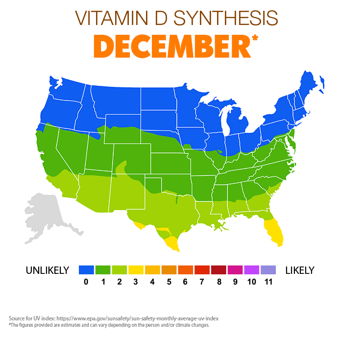 Vitamin D synthesis Dec